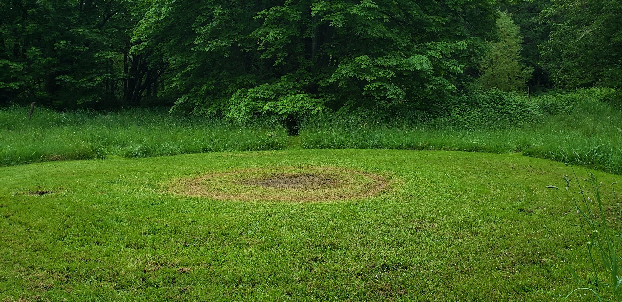 processed_20200525_201634.jpg