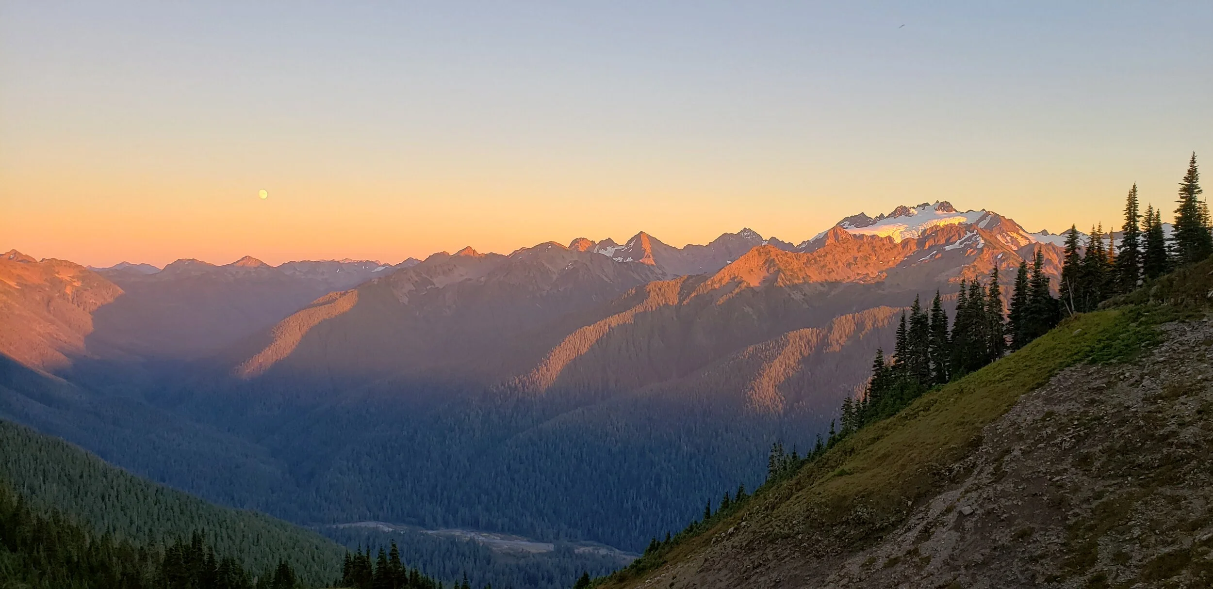 20200928_185537.jpg