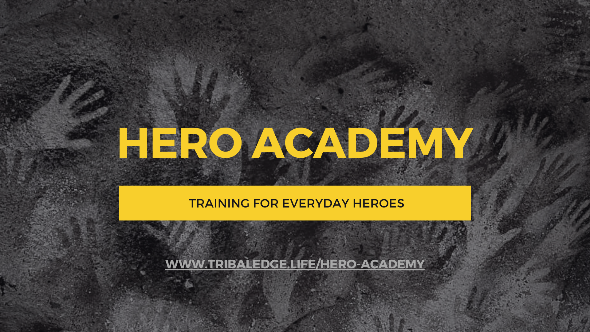 Hero Academy- Spring