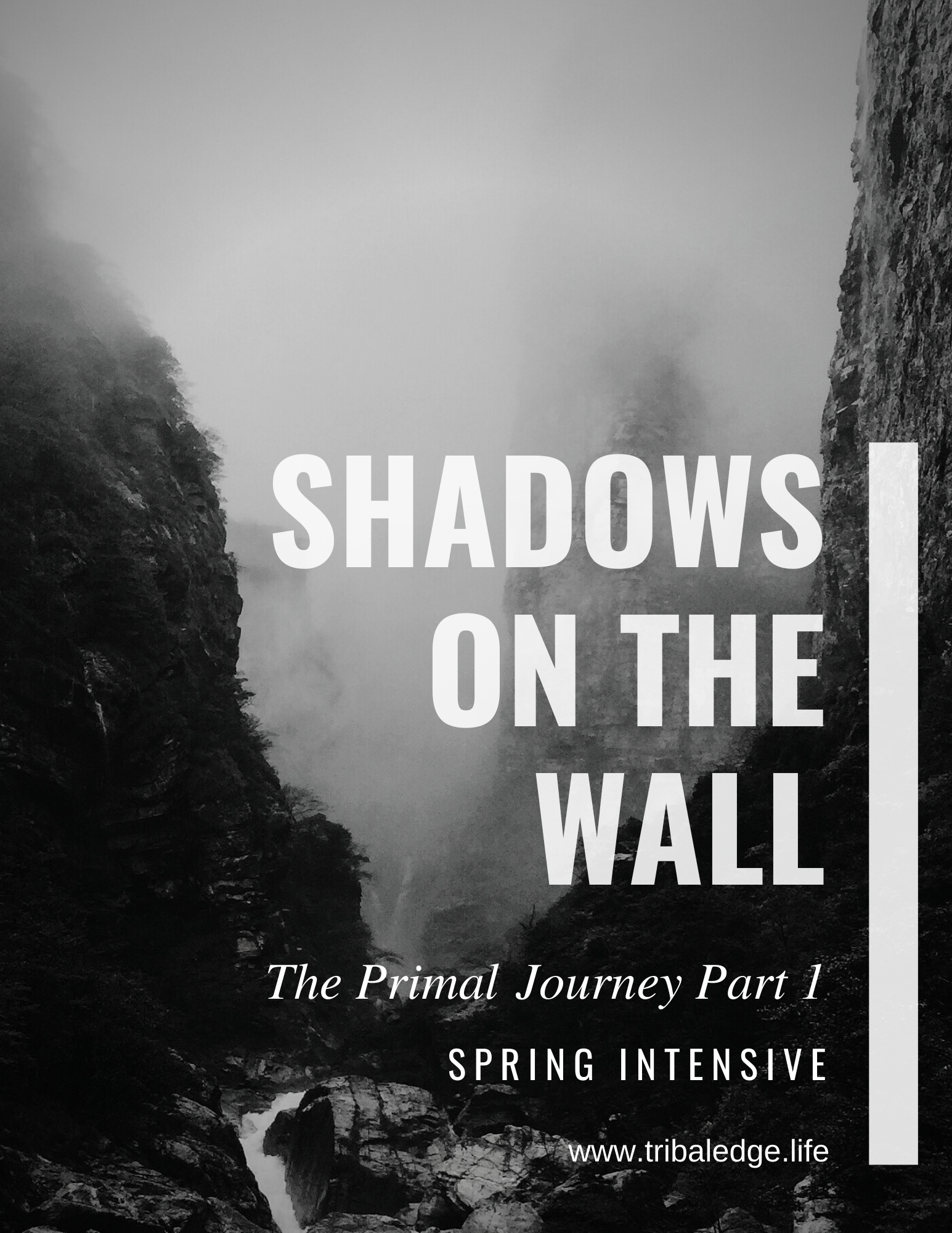 Shadows on the wall.png