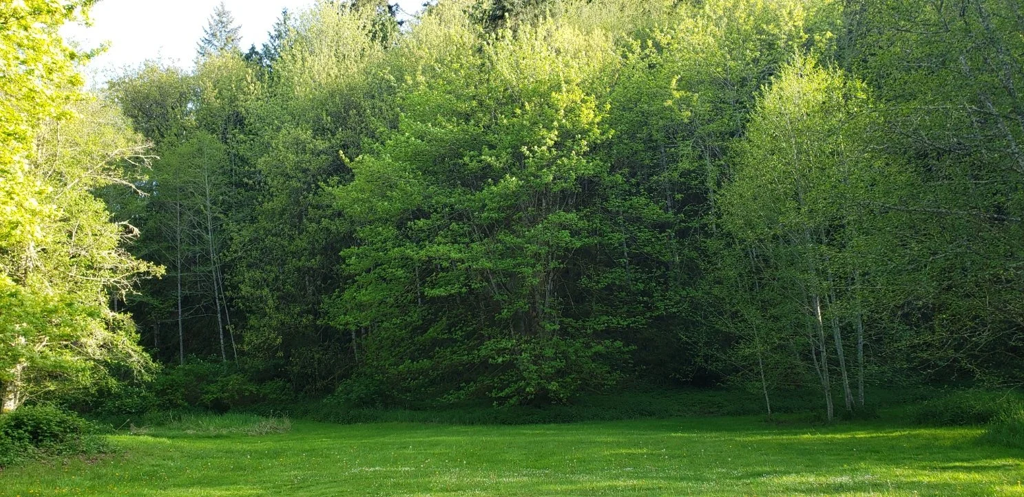 20220508_182051.jpg