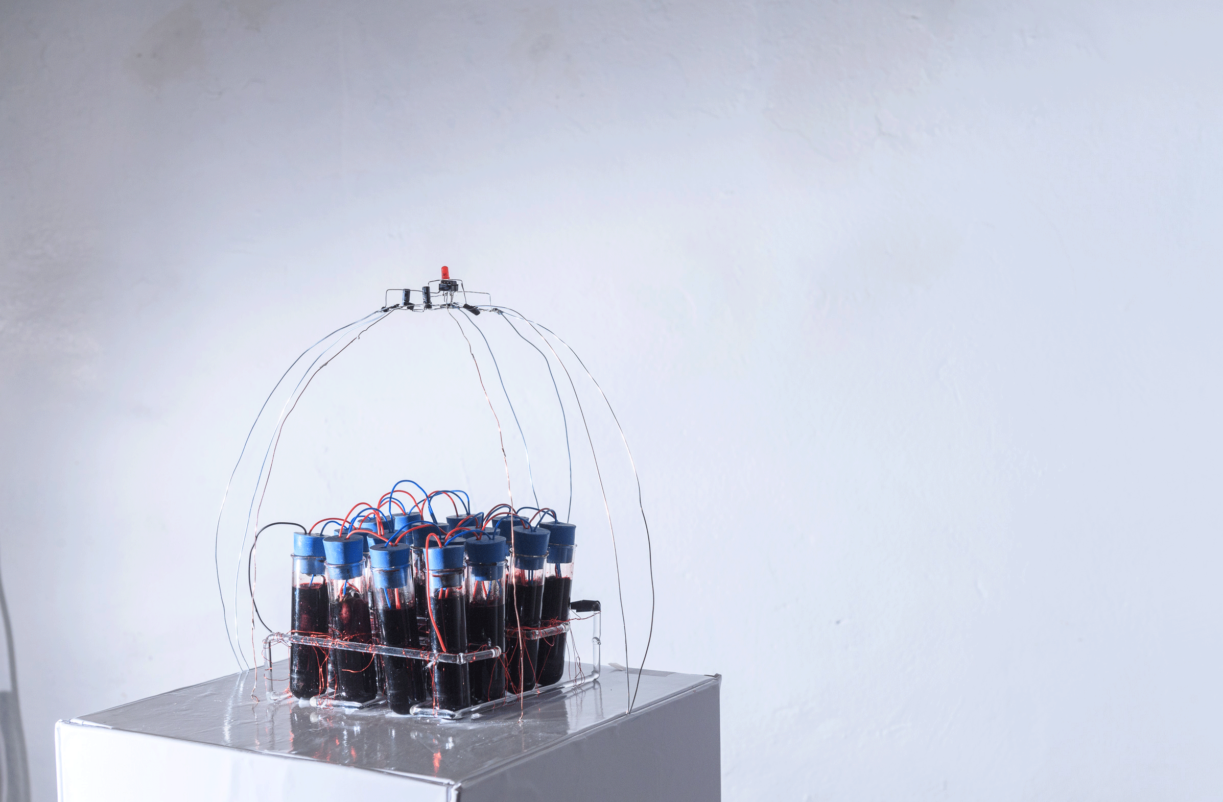 Who Will Feed Us When You're Gone?. Blood, glass, copper, zinc, stainless steel, cotton, rubber, wood, foamcore, vinyl, LED light, electronic circuit. (2017).