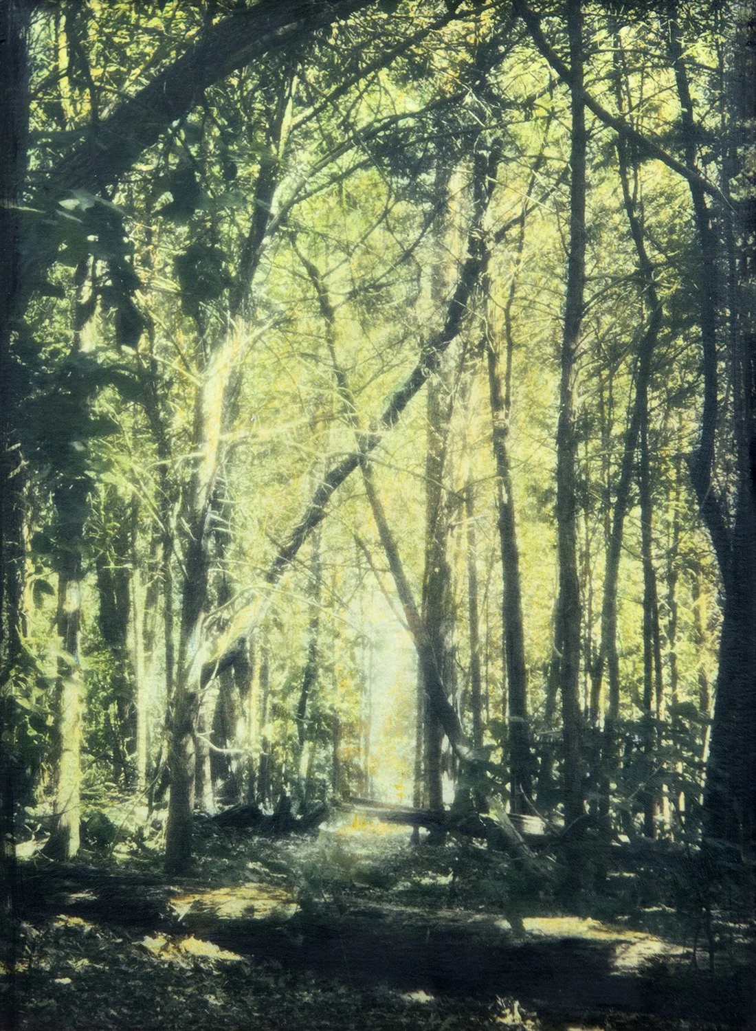 An Illuminated Path copy.jpg