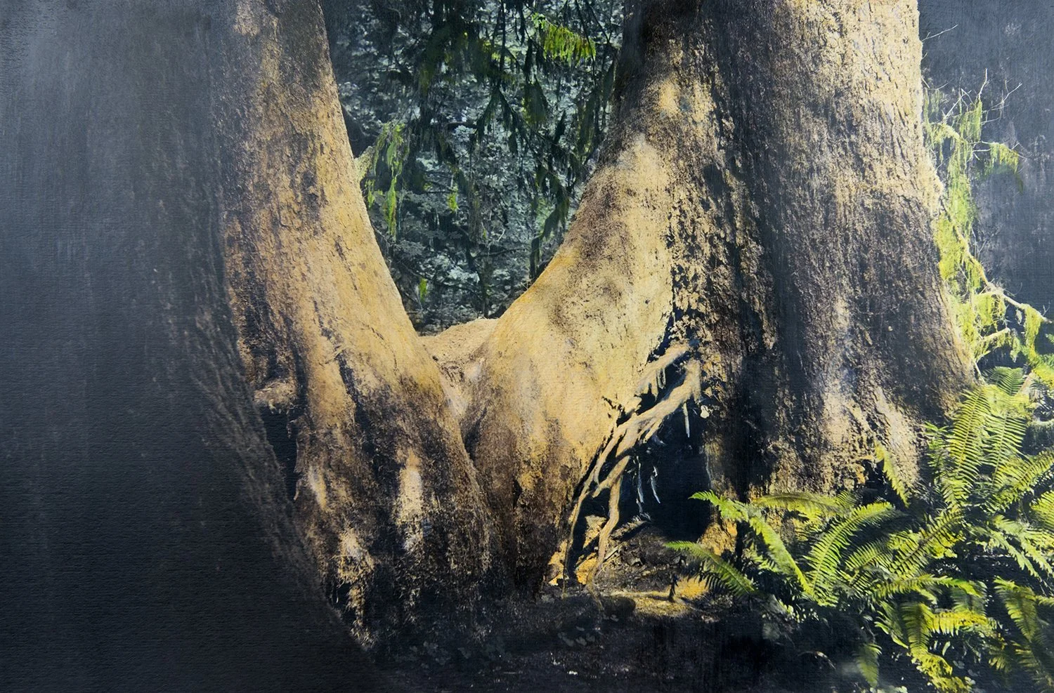Hollow Passage copy.jpg
