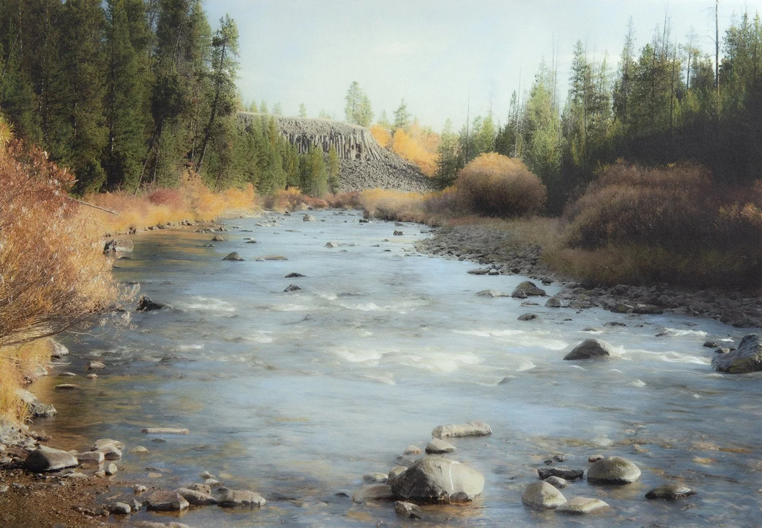 Symphony of Autumn copy.jpg