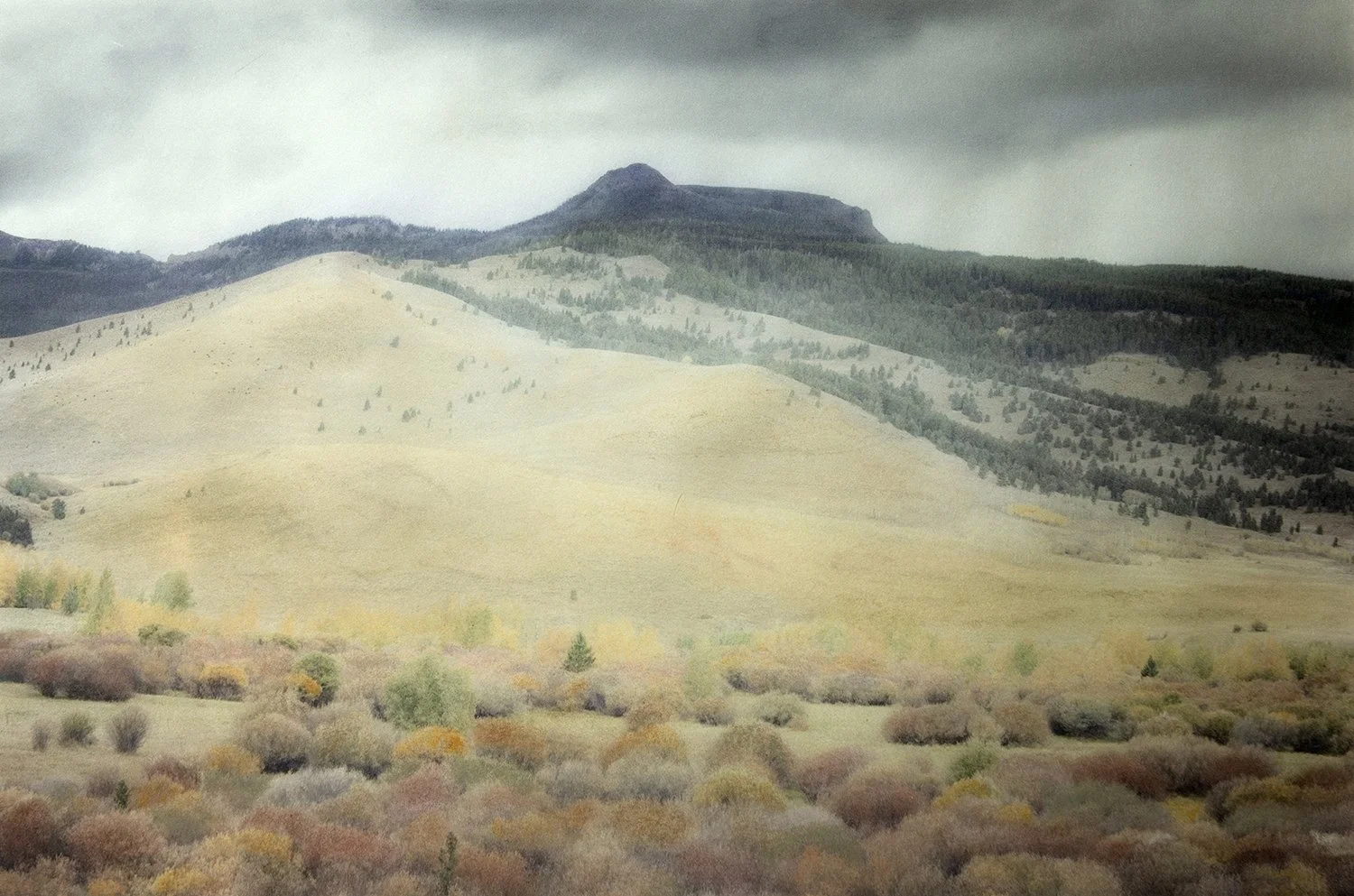 Misty Mountain Majesty and Ranchlands copy.jpg