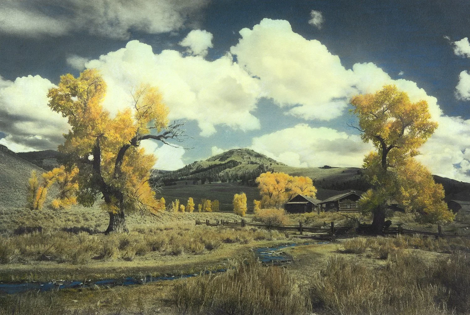 Settler's Cabin and Gold