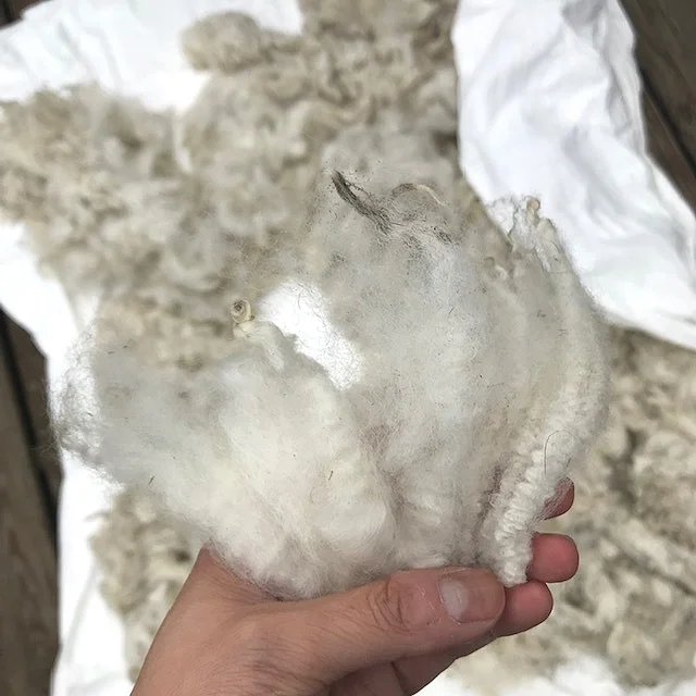 A handful of Victoria’s clean locks.