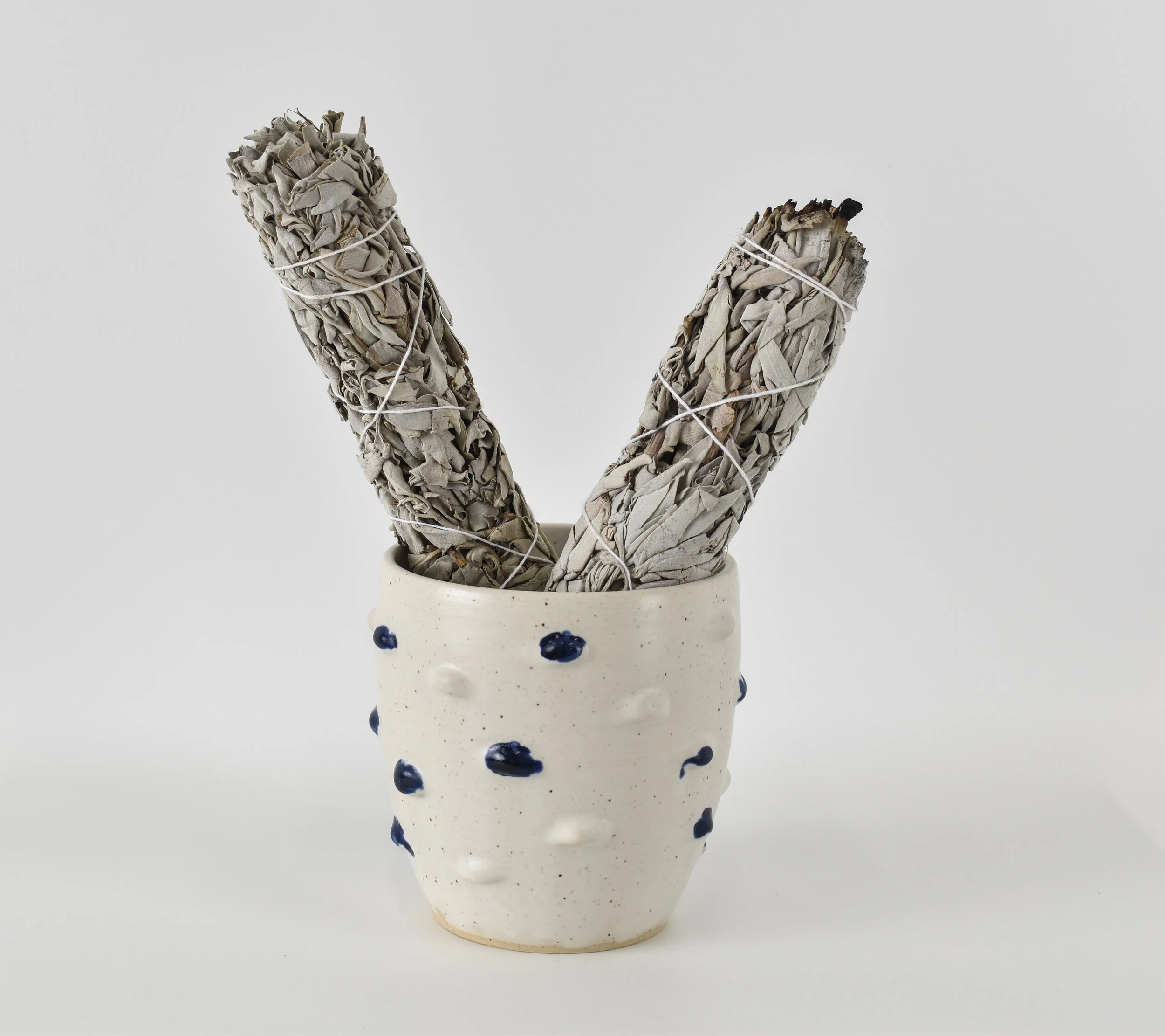 Nubs Vase with Sage.jpg