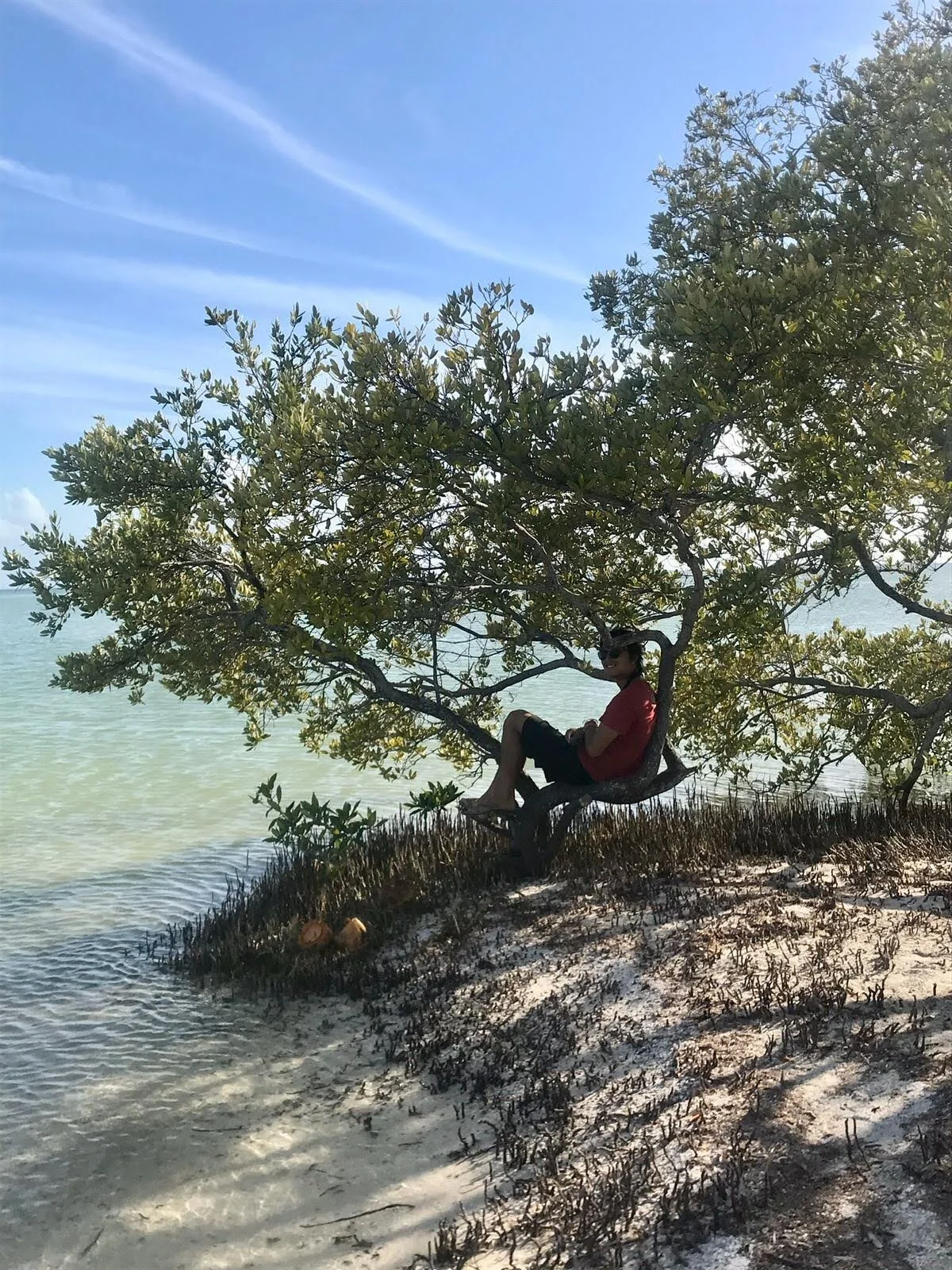 Finding Holbox