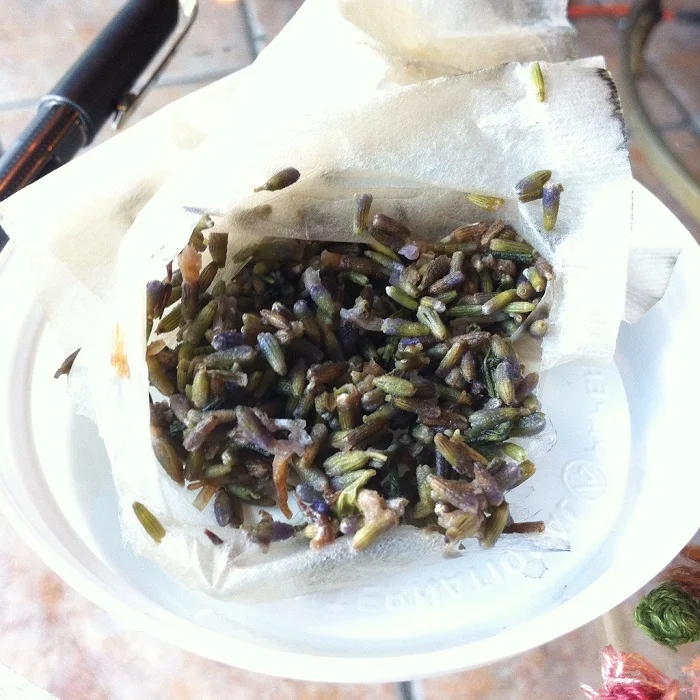 Wet leaf of French Blue Lavender I ordered at the Bun Shop in Baltimore. 