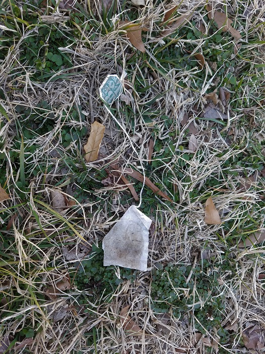 found this one and six others in the park :/