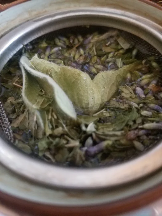 Dried Spearmint, lavender buds, and sideritis