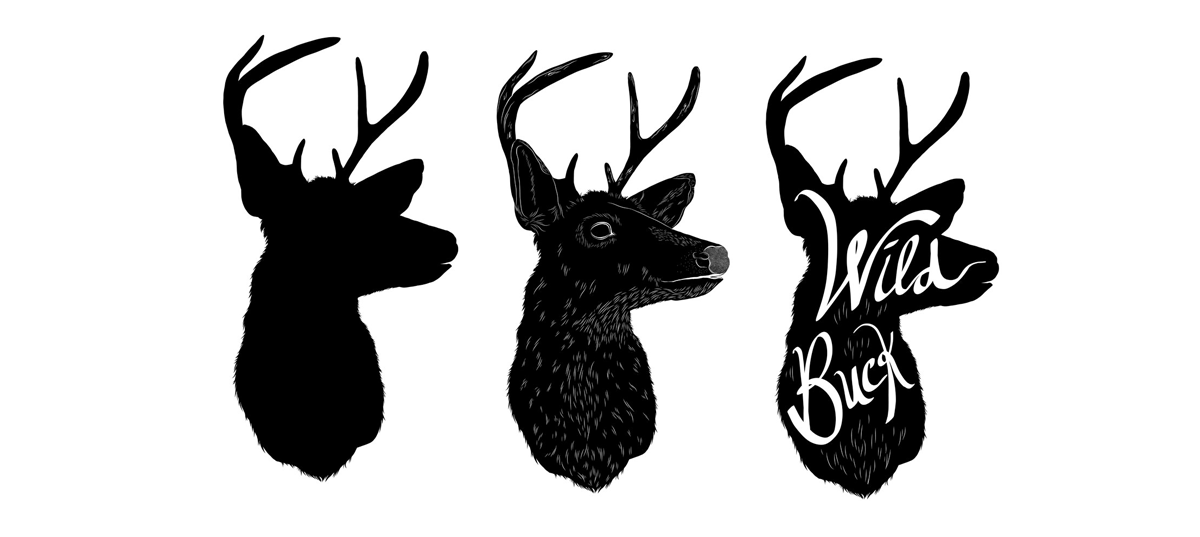 Buck_illustrations_ForWebsite .png