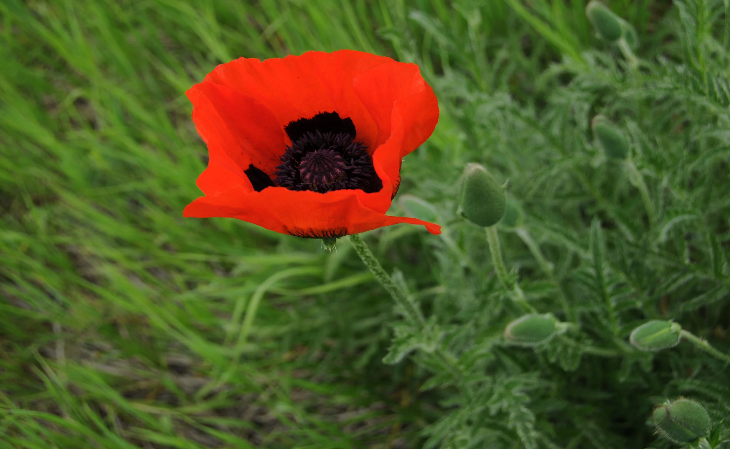 20100608_1410.JPG
