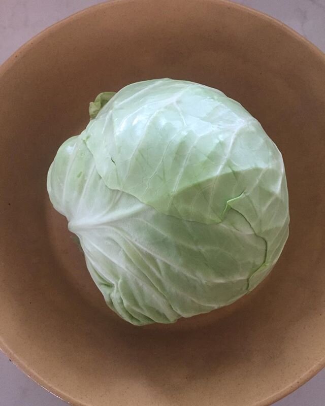 #itsthesmallthings #nottakingthingsforgranted #gratitude #cabbage #beauty