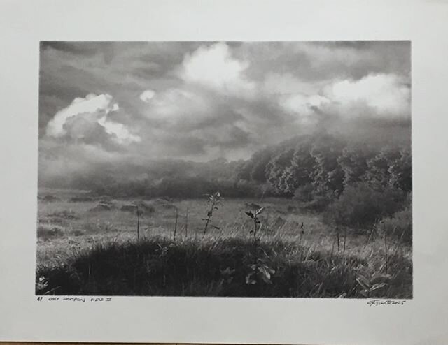 #photograph #moody #blackandwhite #field #easthampton #photoraphy #vintage #decoration #design #interiors #rubybeets.com #hamptons 15x13.5 95.00