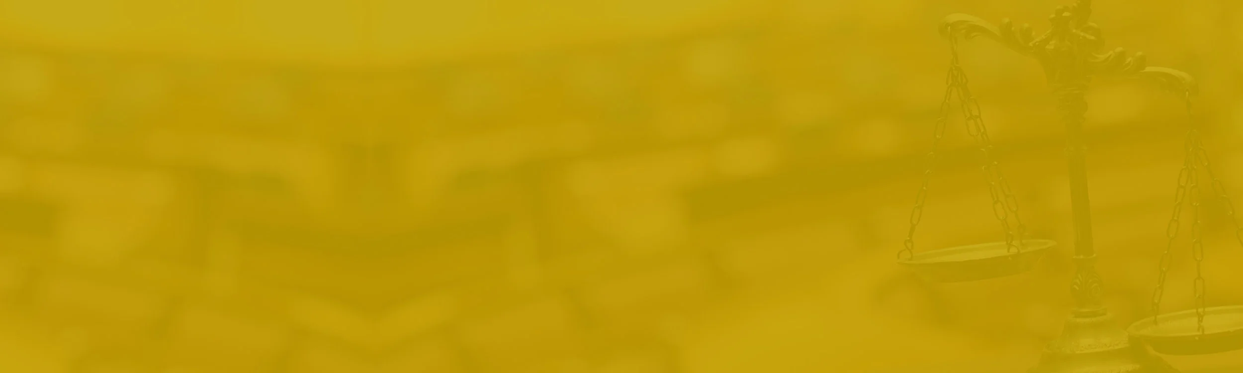 Website_Banner-01.jpg
