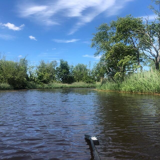 Bass Creek. #wherewillyourechogo #echorowing #echorowingshell #echorowingnw