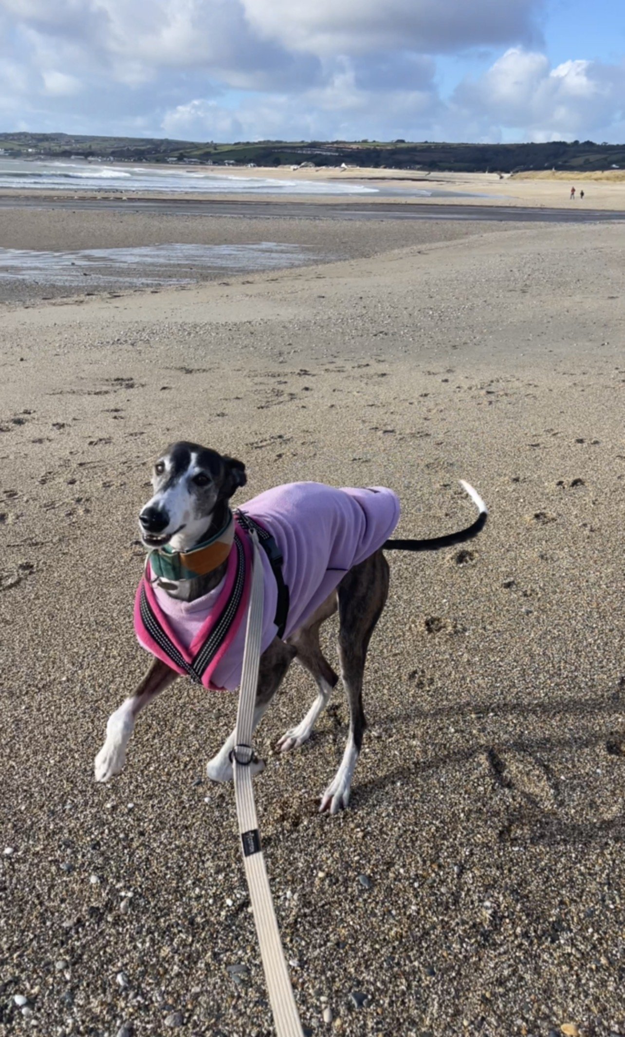 Searching for seaglass in Cornwall