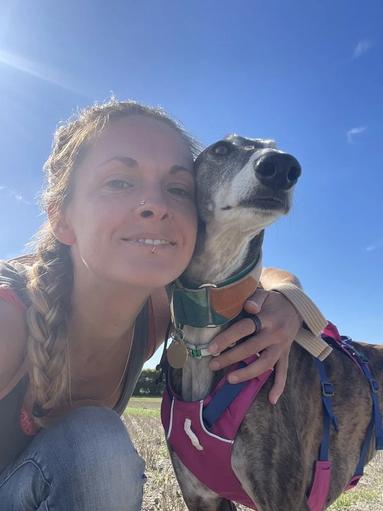 Rescue Dog Miracles- ticks, pets and walks