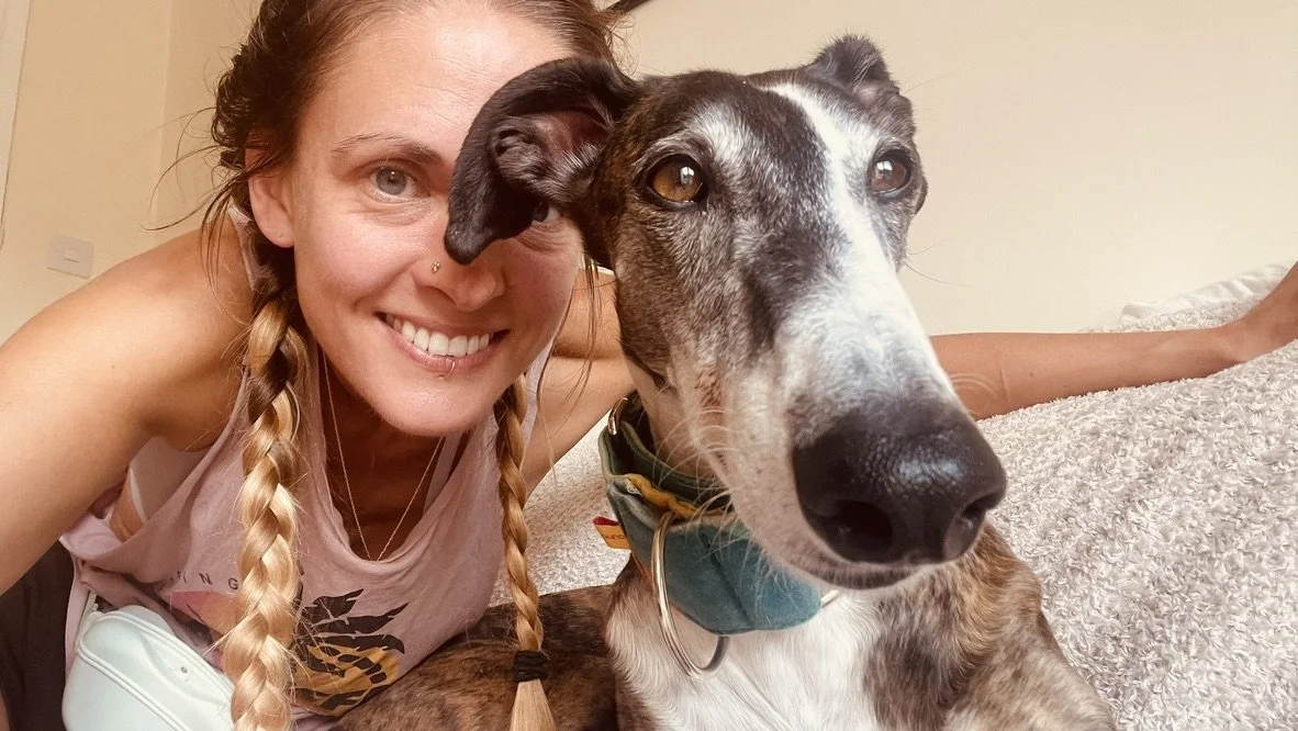 My nervous Galgo’s first week of walks - Rescue Dog Diaries