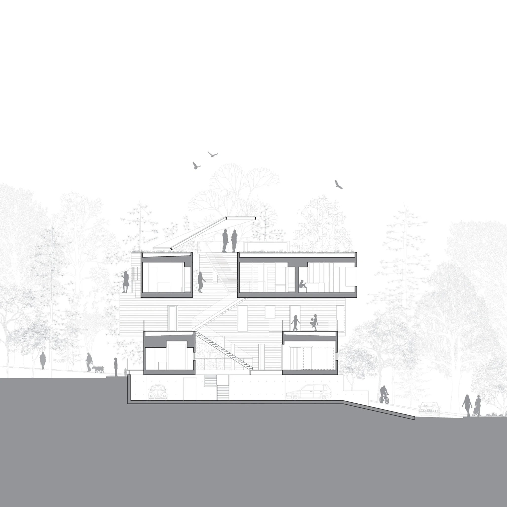 160404_ North Cross Section - L.jpg
