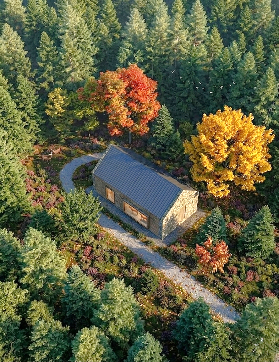 Shtieble in the woods_aerial.png