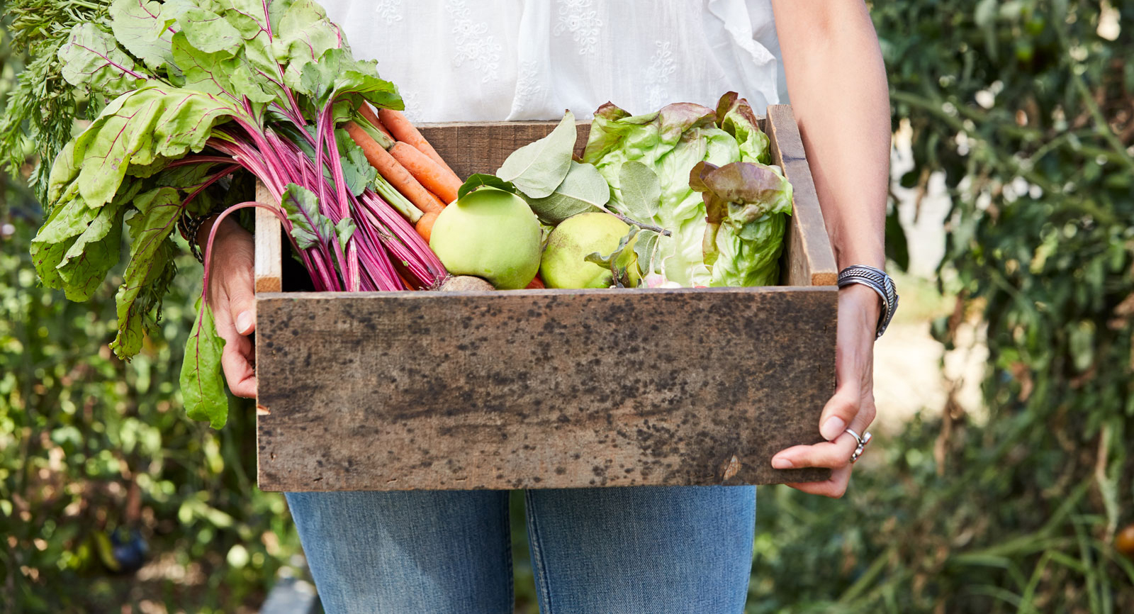 Stocksy_FarmToTable_CF_CG_00170-small.jpg