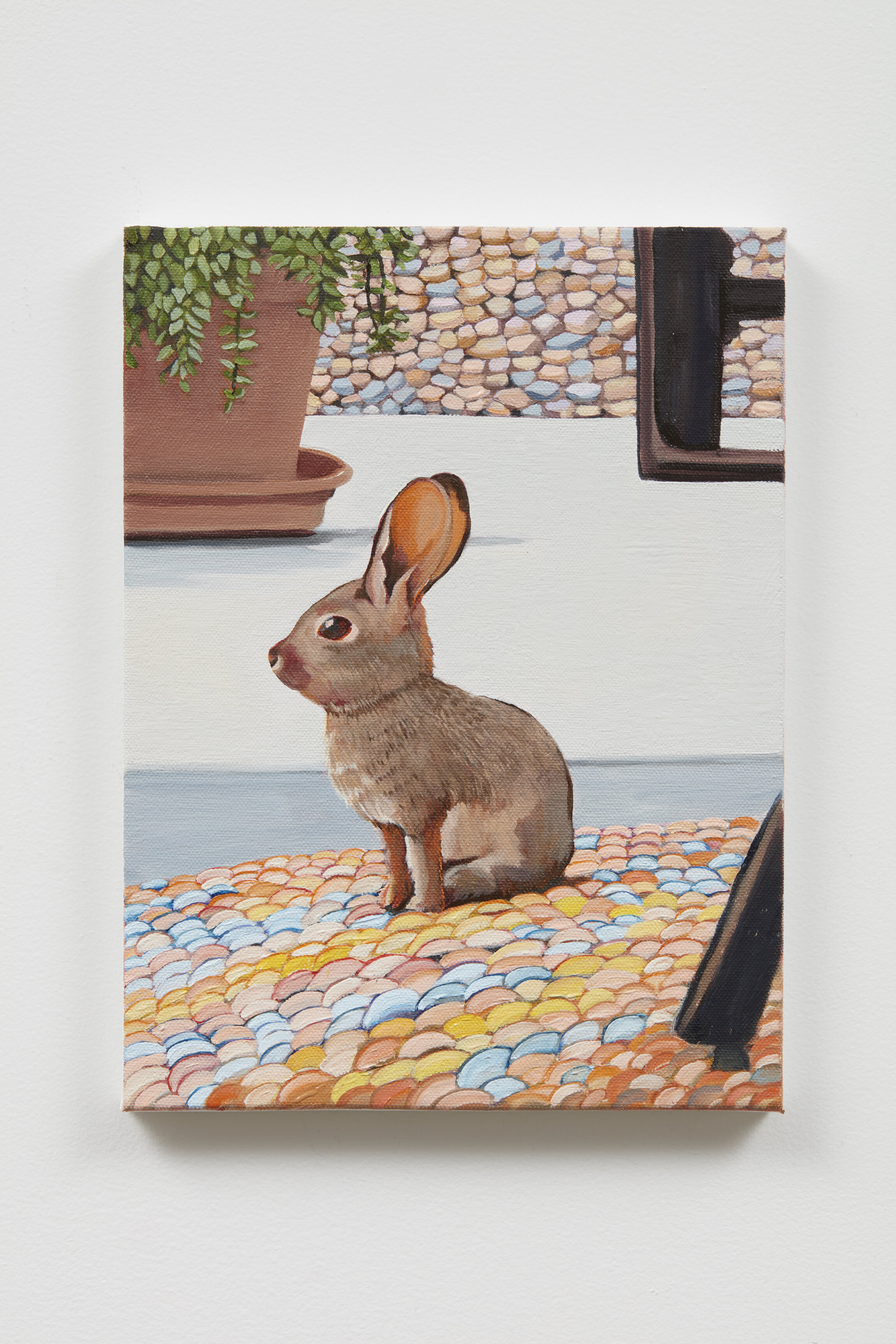 Hare on Rug