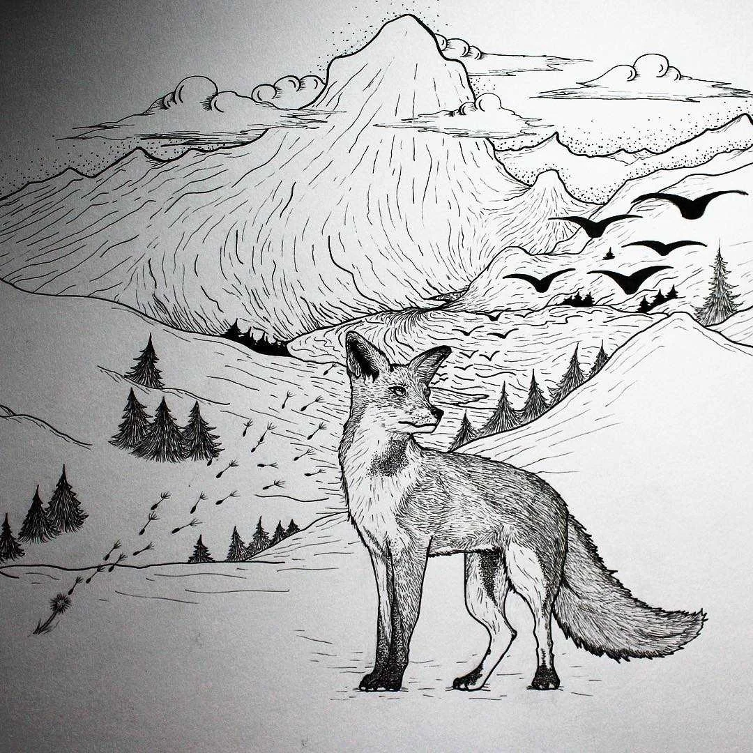 fox birds and mountains drawing.jpg