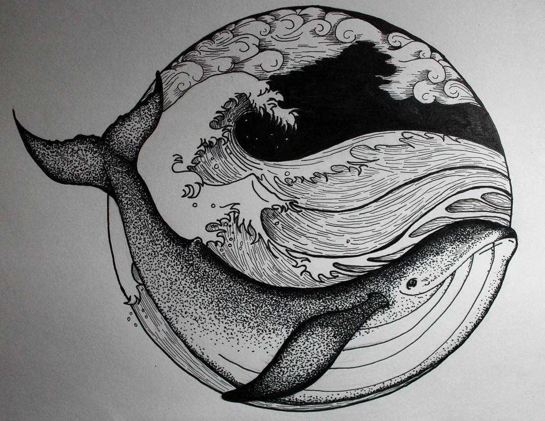 whale_converted.jpg