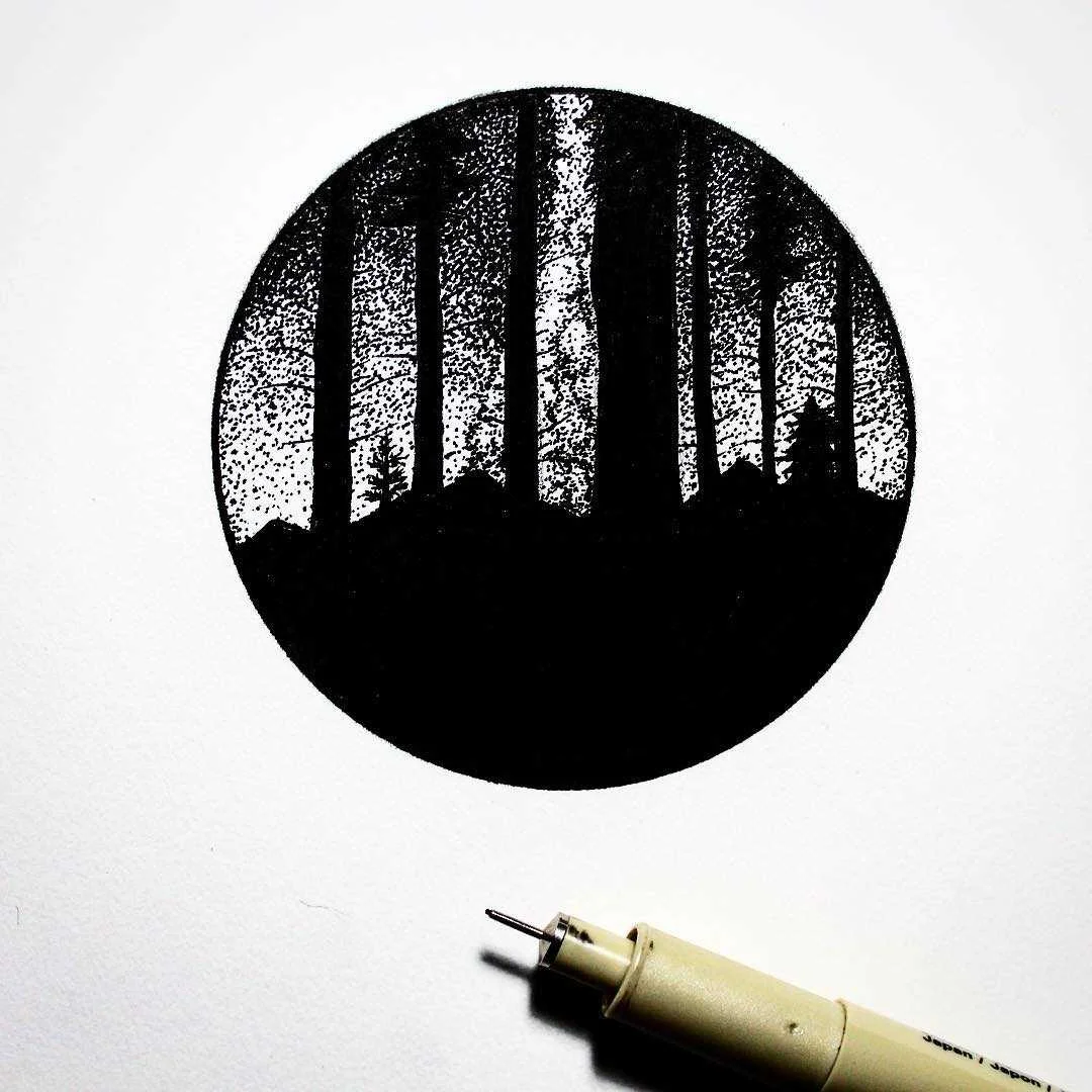 Forest Night Scene