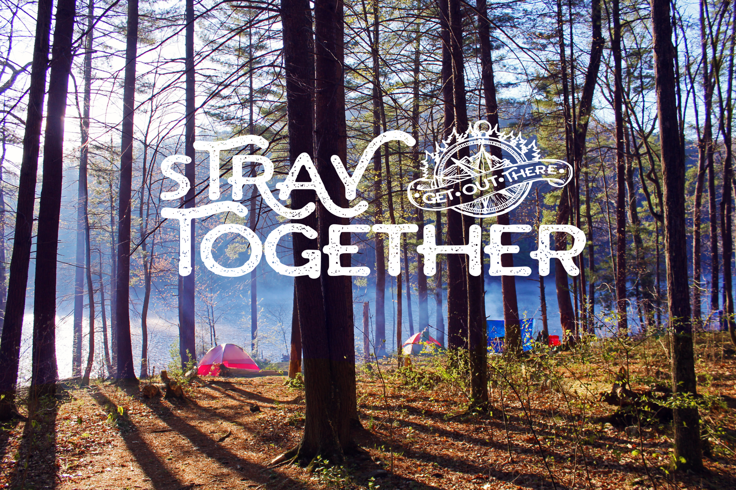 straybanner.png