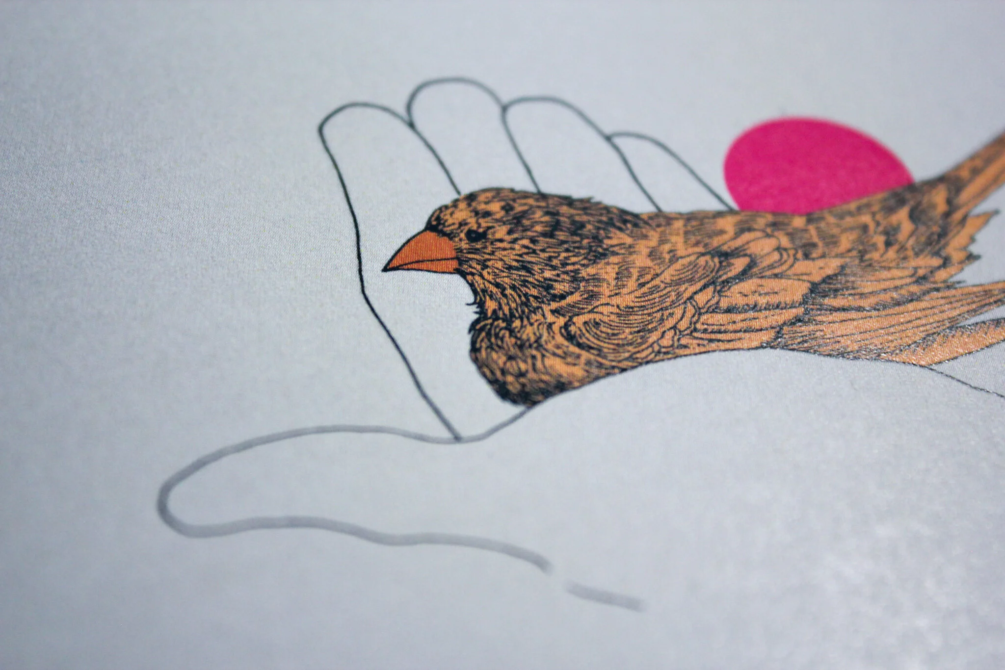 A bird in hand (print)