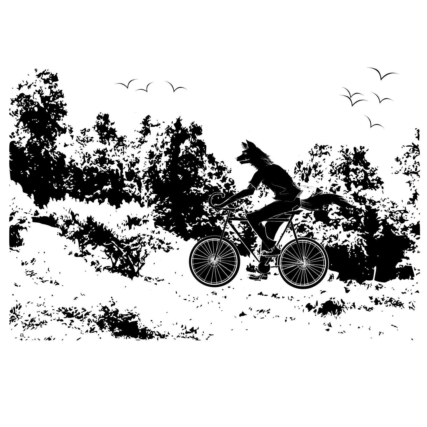 Foxy Goes for a Bike Ride