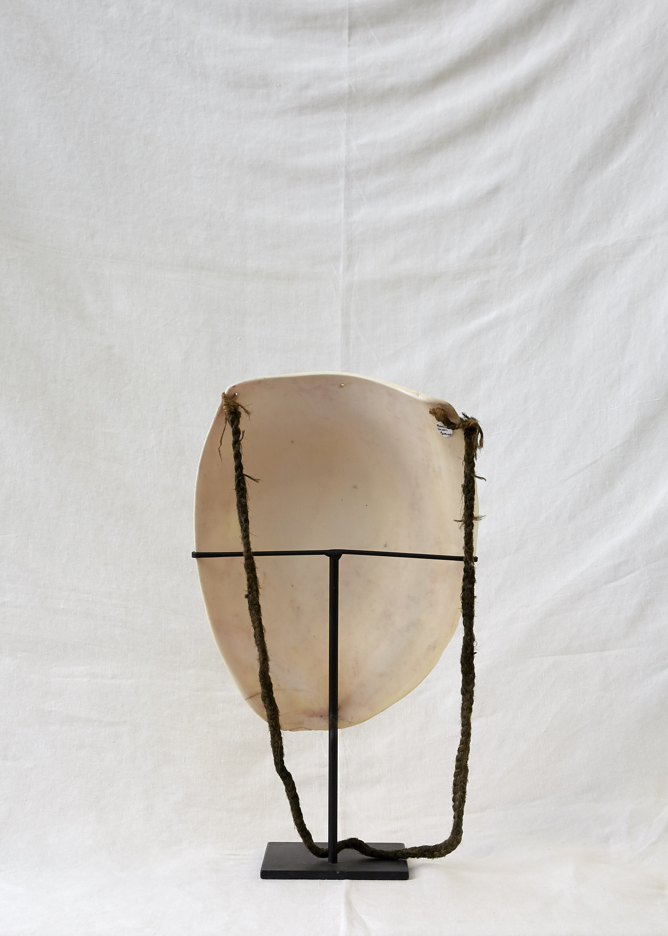 Bailer Shell 1.jpg