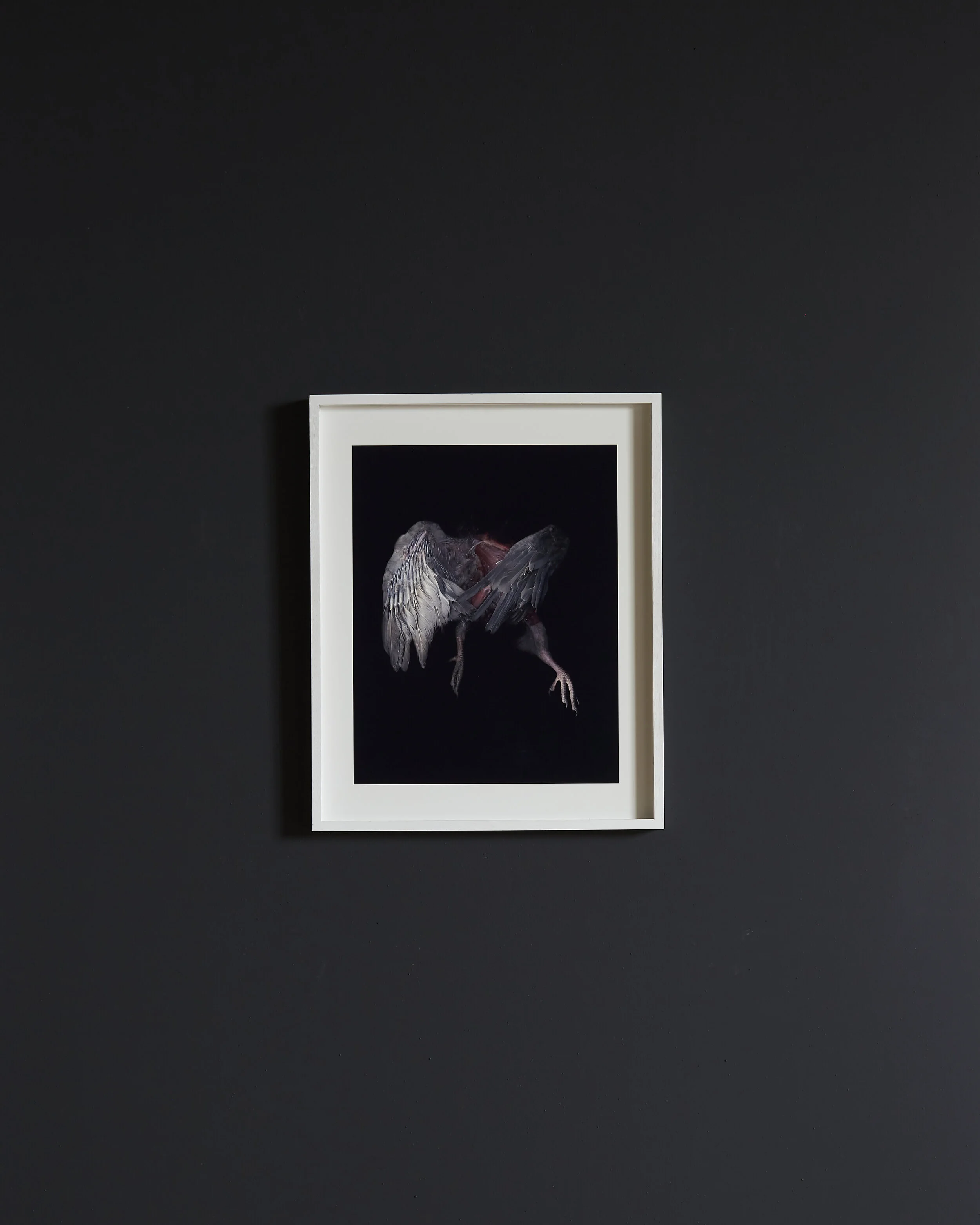 Hiroshi Sugimoto, Time Exposed: #345, Ionian Sea, Santa Cesarea