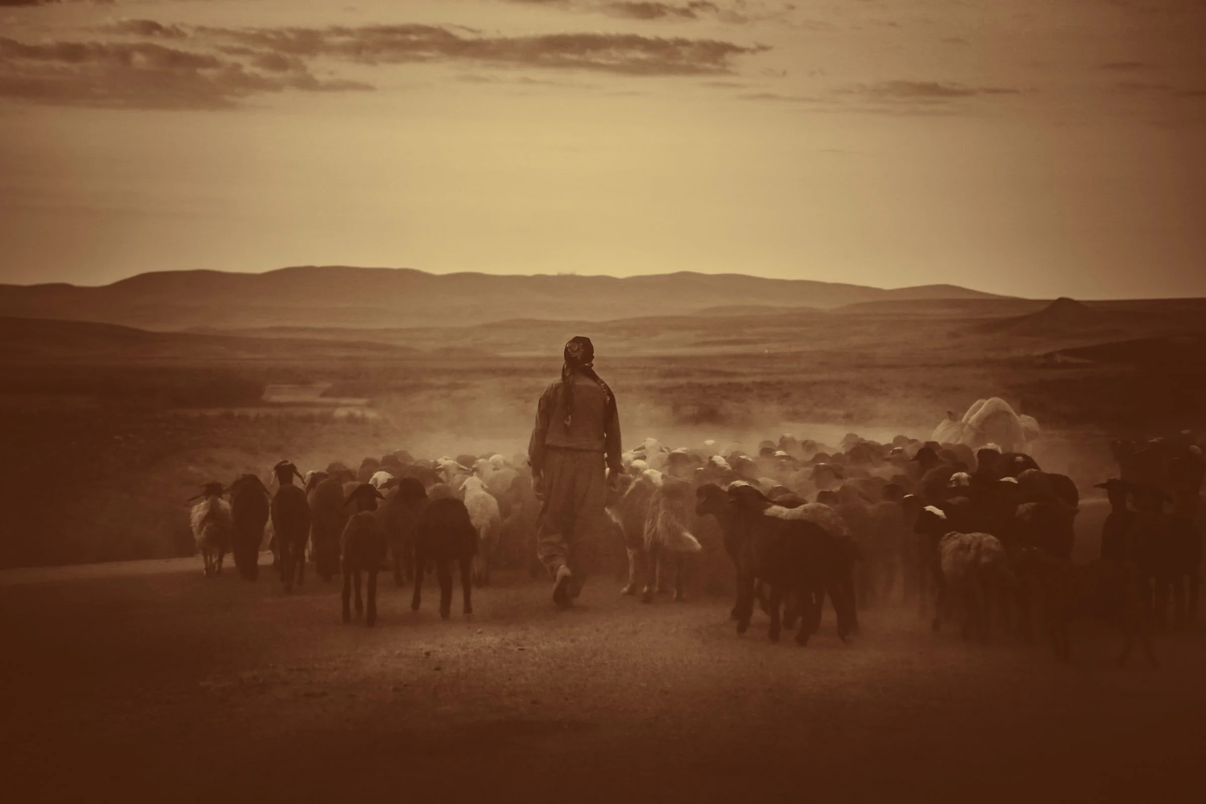 Hobab—Jethro or Moses' Brother-in-Law? (Numbers 10:29)