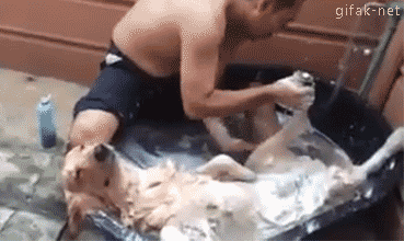 This GIF perfectly captures the sensation of getting your entire body exfoliated.
