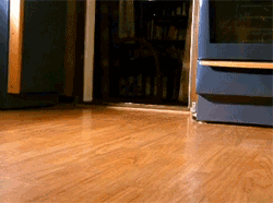 147e0ed8-577b-4ee8-a5f4-cffefe7a14a6.gif