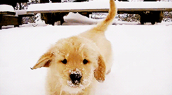 613cf542-ae59-4d1d-ad89-690fb5656acc.gif