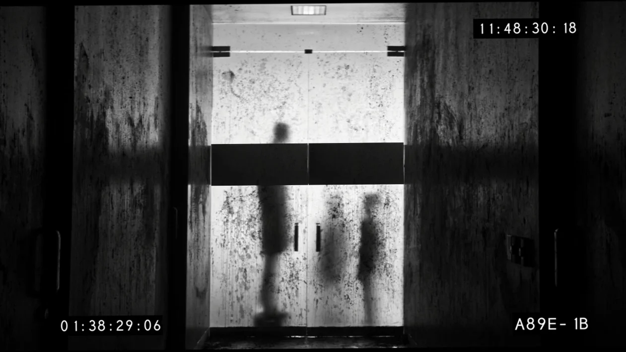 THIS WAY TO EGRESS- Directed by David Slade