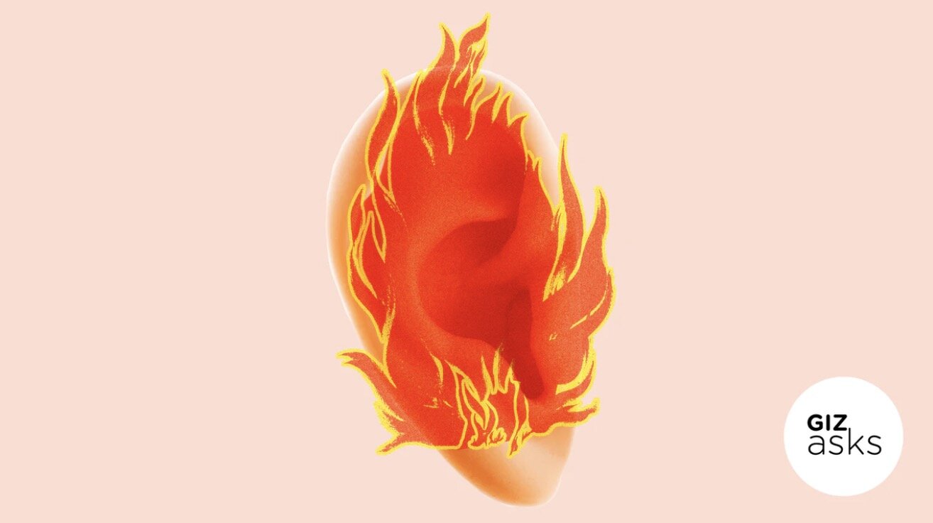 Which Sounds Are the Most Annoying to Humans?