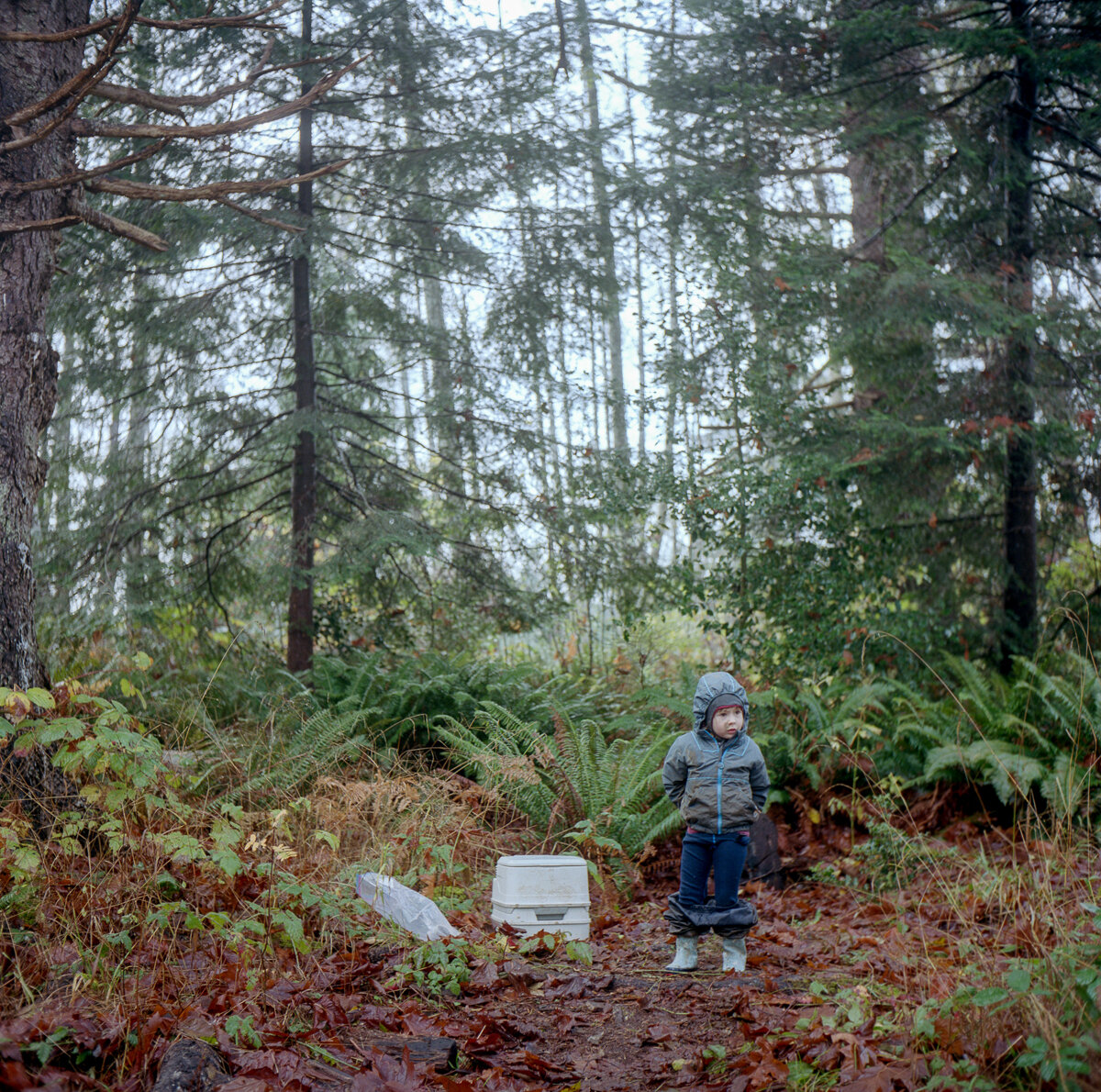 Children of the Forest-4.jpg