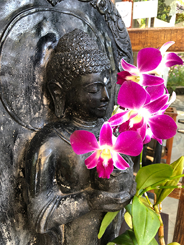 buddha.jpg