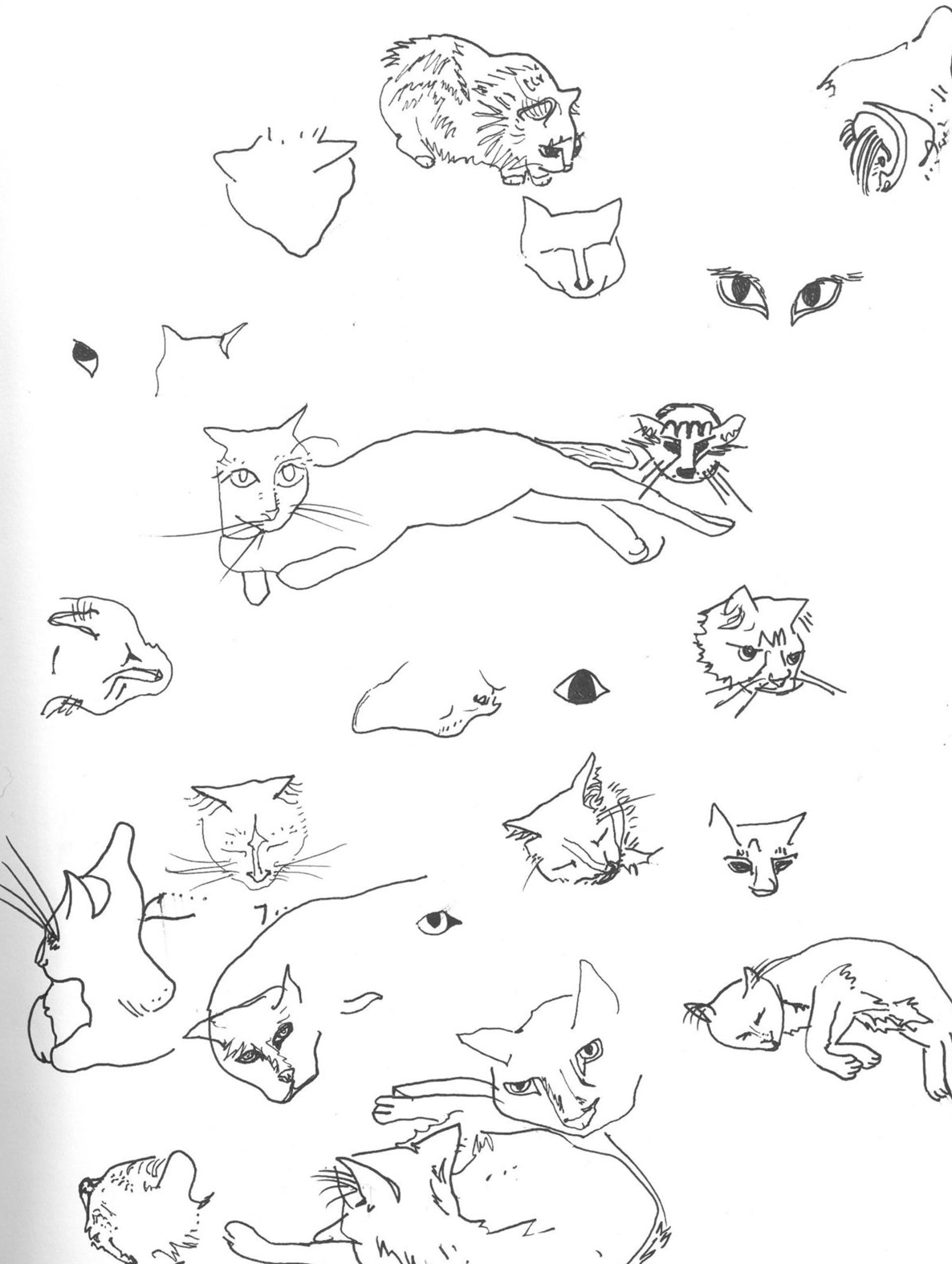 pussy galore