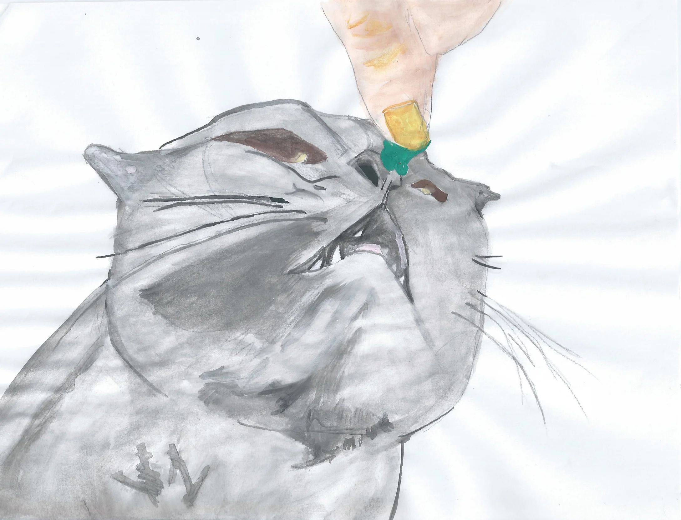 blue cat watercolor.jpg