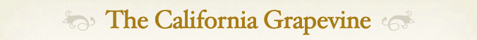 Screen Shot 2019-03-06 at 2.56.59 PM.png