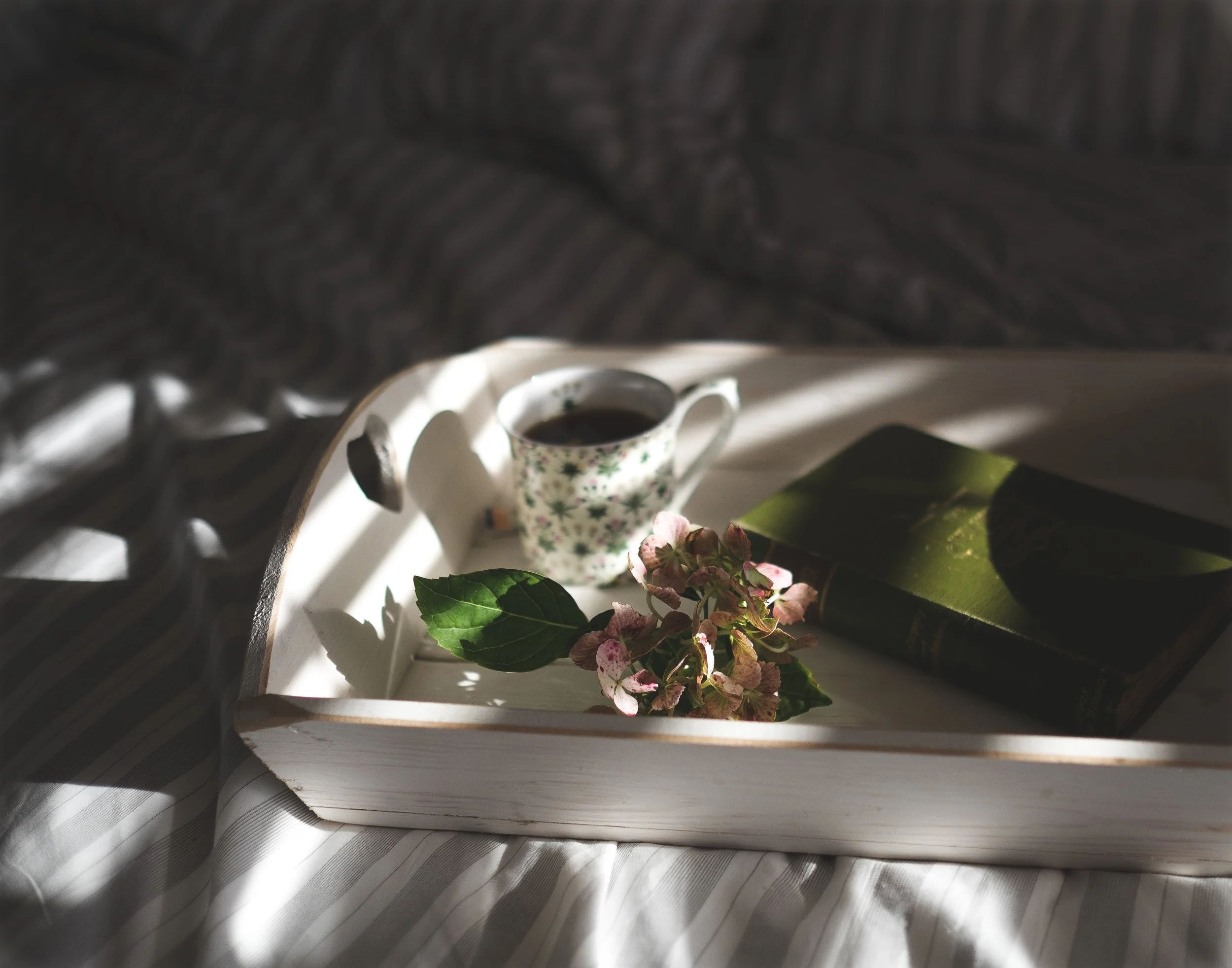 Early_Riser_Rewards_Unsplash